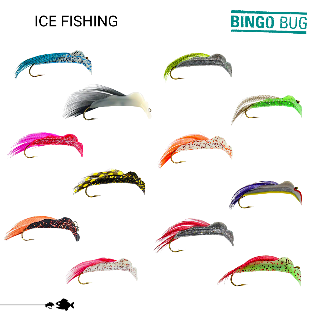 Bingo Bug | 12-Pack