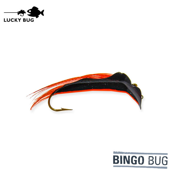 Bingo Bug - Orange Stripe