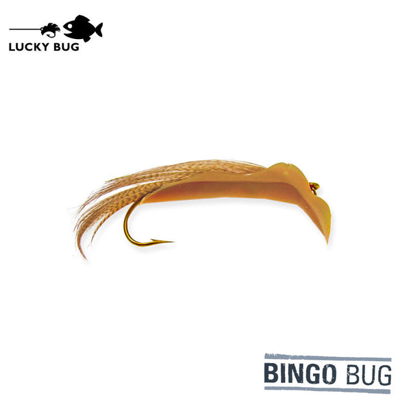 Bingo Bug - Buckskin