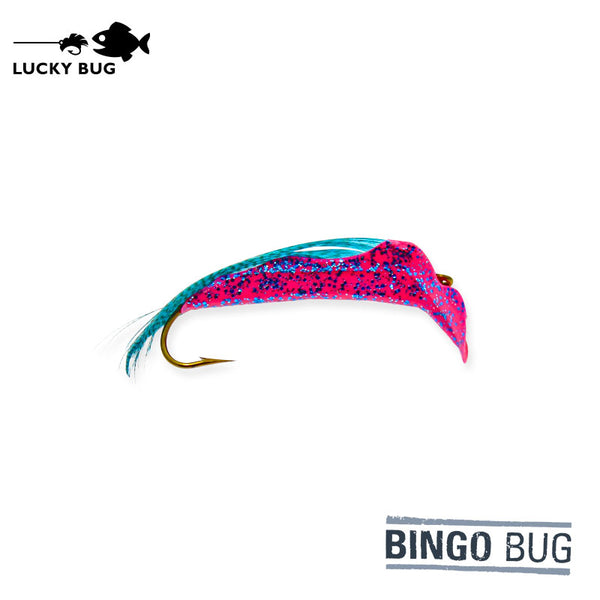 Bingo Bug - Lollipop