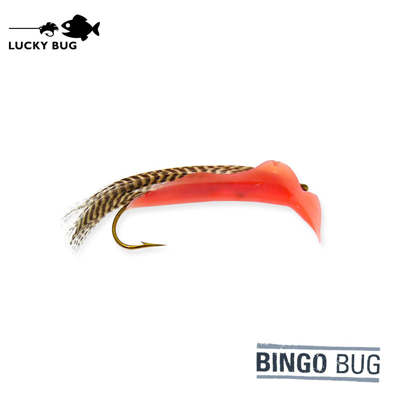 Bingo Bug - Shrimp – Lucky Bug Lures
