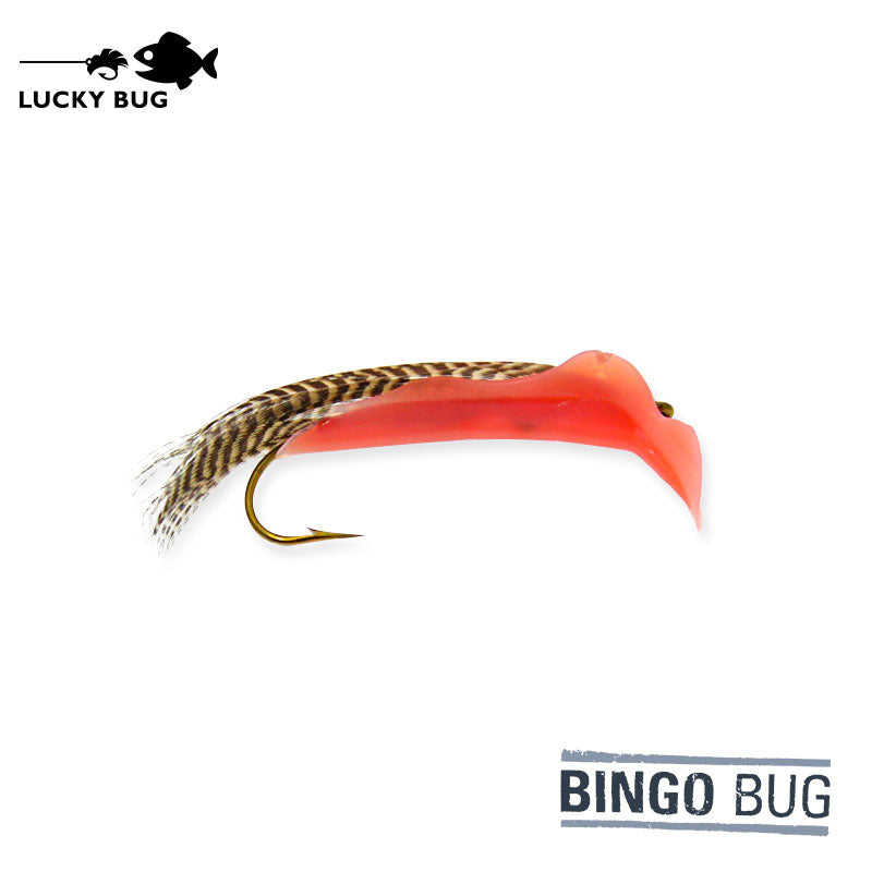 bingo fish hook Bingo Bug