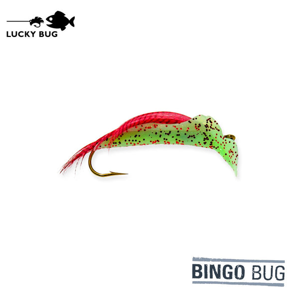 Bingo Bug - Strawberry Kiwi