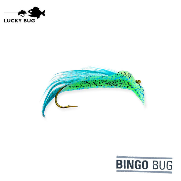 Bingo Bug - Tree Frog
