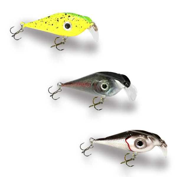 Fusion EXTREME 3-Pack - All Purpose Trout Combo Kit