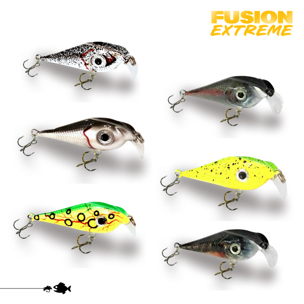 Fusion EXTREME 6-Pack - Brook/Speckled Combo Kit
