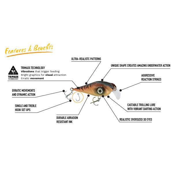 Fusion EXTREME 6-Pack - Walleye/Pickerel Combo Kit – Lucky Bug Lures