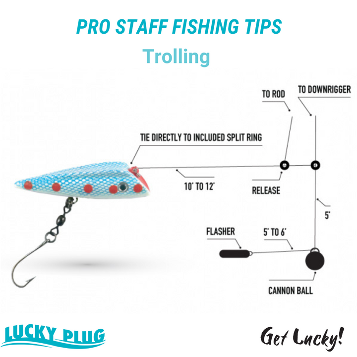 Lucky Plug - 6-Pack - Rainbow Trout Combo Kit
