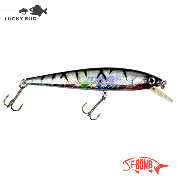 F-Bomb - Tiger Minnow