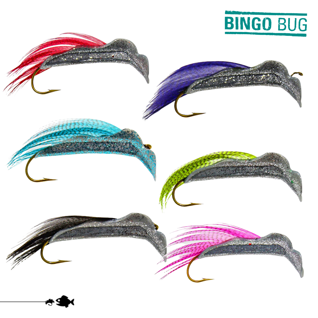Bingo Bug | 6-Pack