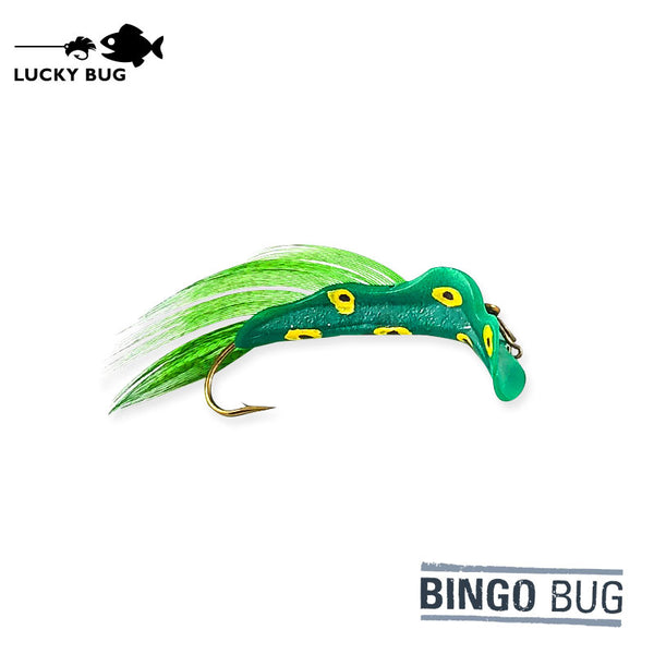 Bingo Bug - Green Frog