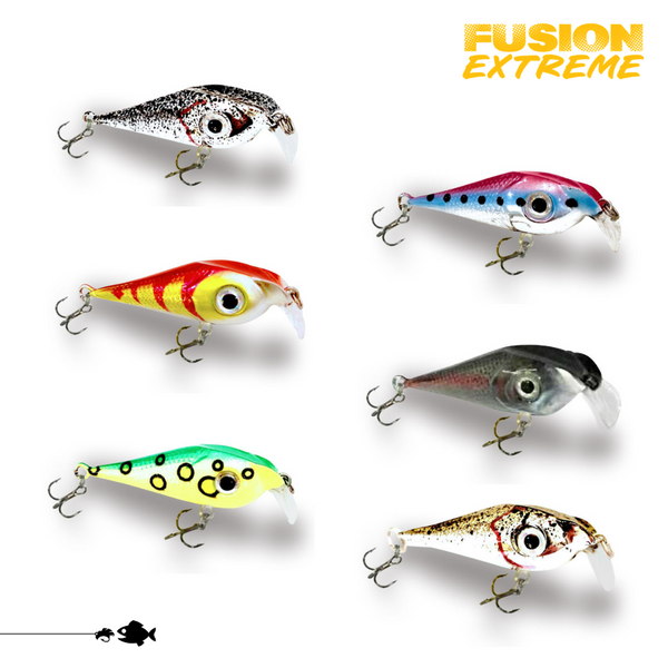 Fusion EXTREME 6-Pack - All Purpose Trout Combo Kit