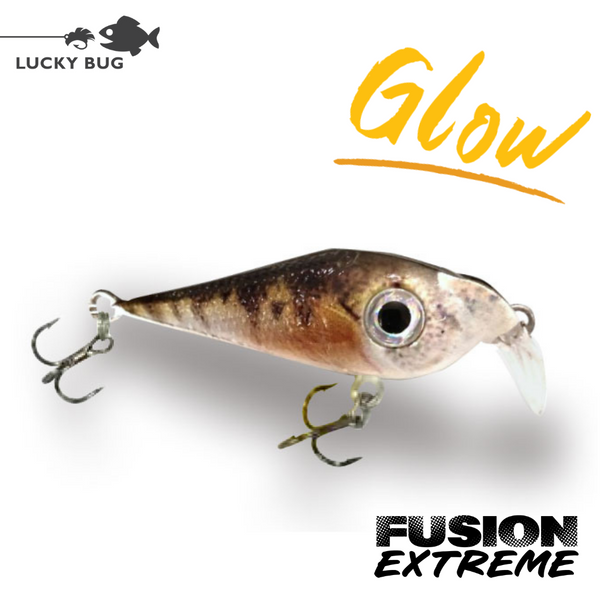 Fusion Extreme Lures – Lucky Bug Lures