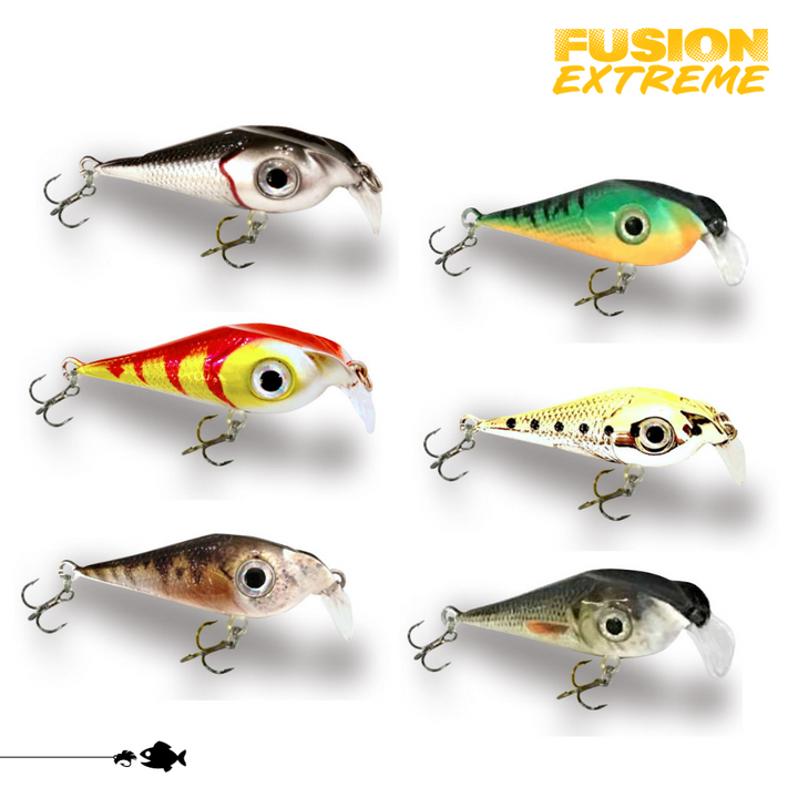 Fusion EXTREME 6-Pack - Walleye/Pickerel Combo Kit – Lucky Bug Lures