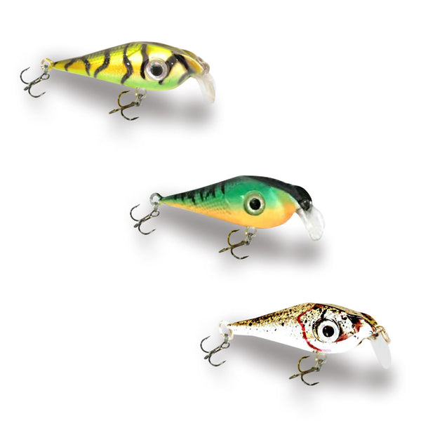 Fusion EXTREME 3-Pack - Walleye Combo Kit